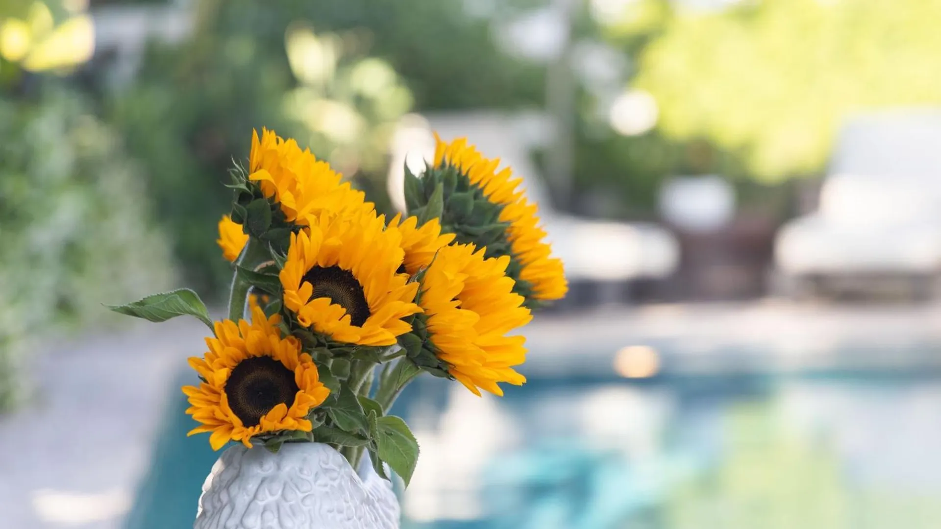 Edwin By Avantstay Hollywood Hills Luxury Pool Los Angeles Holiday home